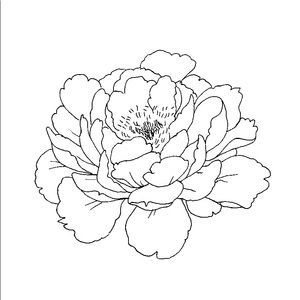 Meet your Posher, Antonela